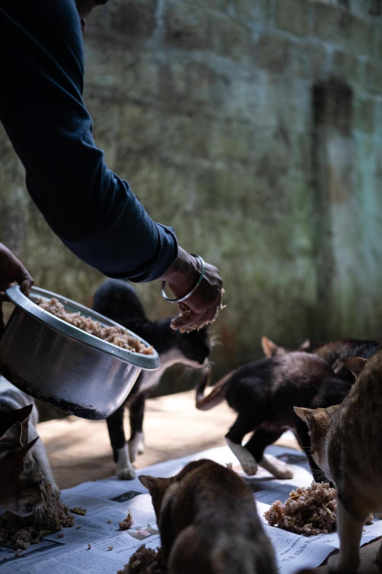 Alass Ga For Pets Lovers Trikunamalaja Zewnętrze zdjęcie