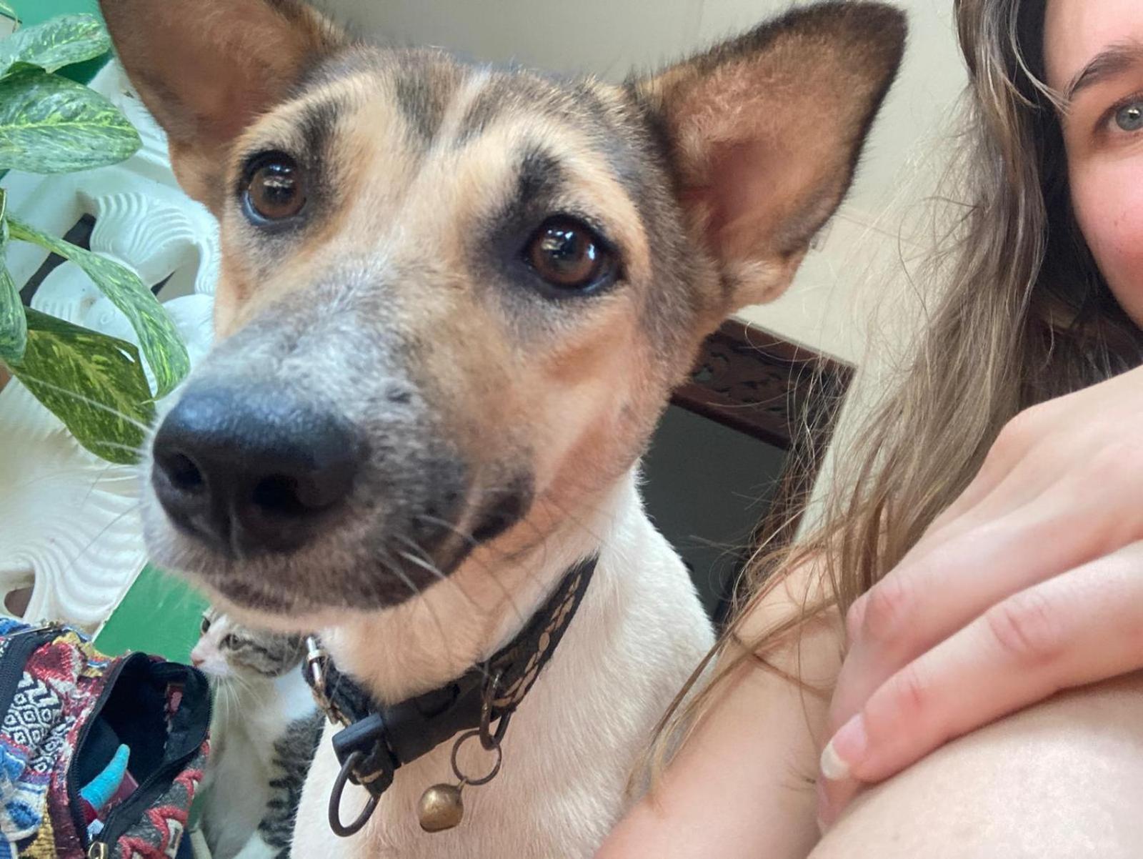 Alass Ga For Pets Lovers Trikunamalaja Zewnętrze zdjęcie